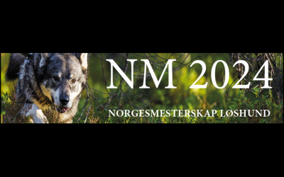 NM løshund 2024