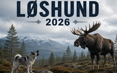 Nordisk mesterskap løshund 2026